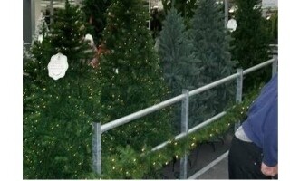 Thieves Steal Christmas Trees in Germany