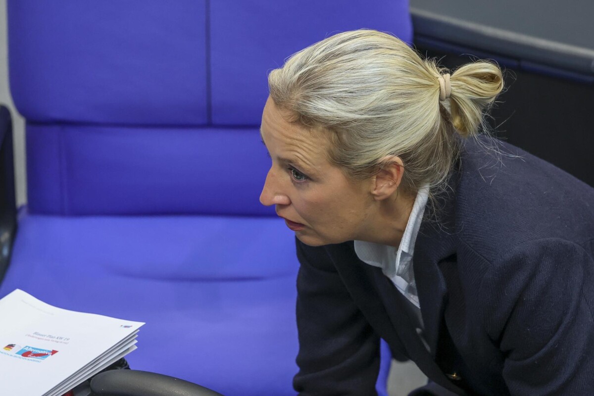 AfD Demands Merz to Step Down After Election Failure
