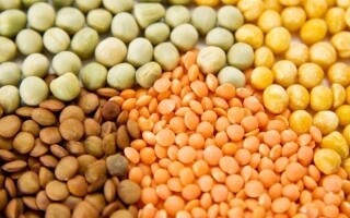 Benefits of Legumes for Heart and Digestive Health