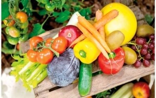 German Experts List Key Benefits of Dietary Fiber