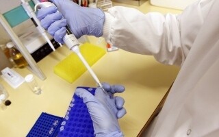 Researchers Discover Gene Responsible for Mental Illnesses