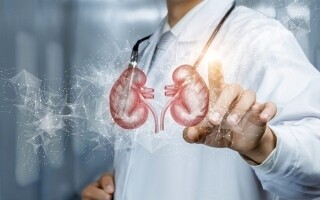 Cálculos Renales: Causas, Síntomas y Tratamiento