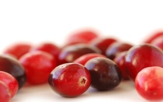 Germany hails cranberry as a 'superfood' for health benefits