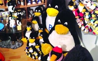 Закрытие Единственного Пингвиньего Музея Германии