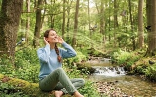 Forest Sounds Improve Mental Well-being