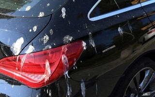 Как защитить свой автомобиль от птичьего помета