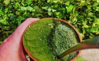 Germany Recalls Mate Drink Batches Over Harmful Substances