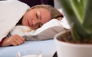 German Expert: Sleep is a Daily Therapy Session for the Brain
