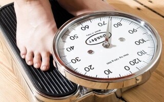 Unreliable Diets in Germany: Warnings from the Consumer Advice Center